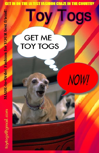 Get Toy Togs for YOUR best friend!